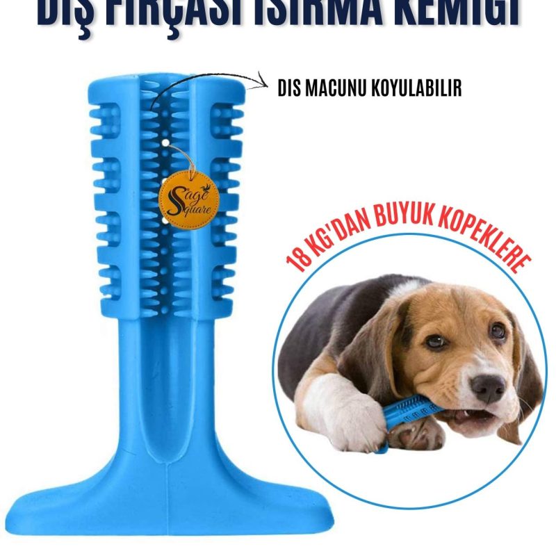 Diş Fırçası Isırma Kemiği 18 KG+ Macun Hazneli